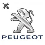 Peugeot Service Box